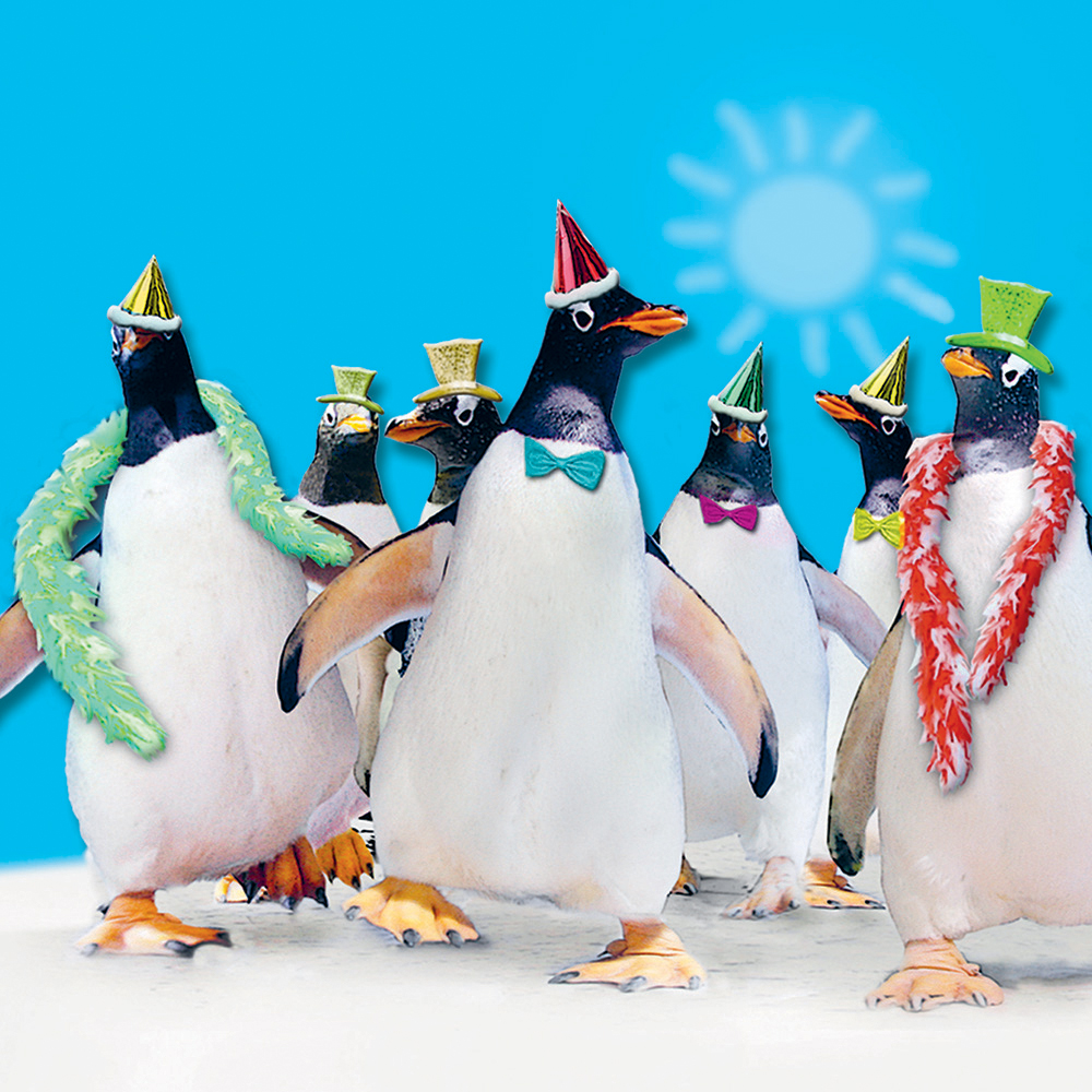 Image 3D Greeting Card - Dancing Penguins
